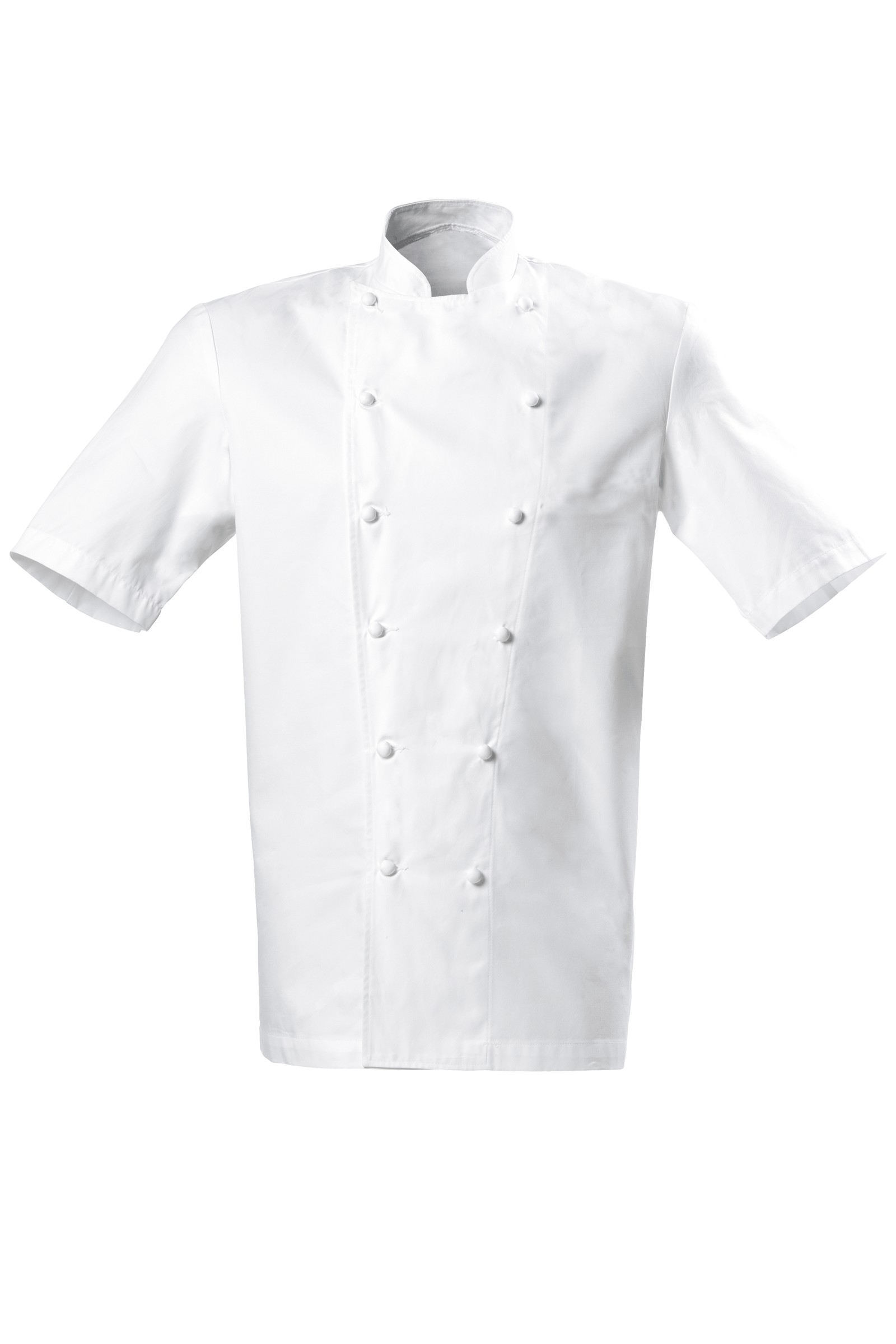 bragard chef jacket dubai